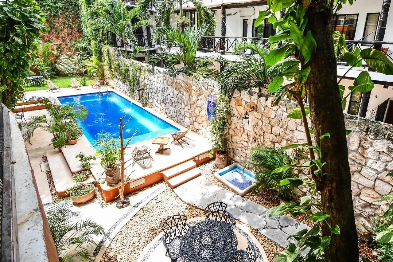 아파트호텔 신데 델 카르멘 Casa Freud 아파트 호텔
