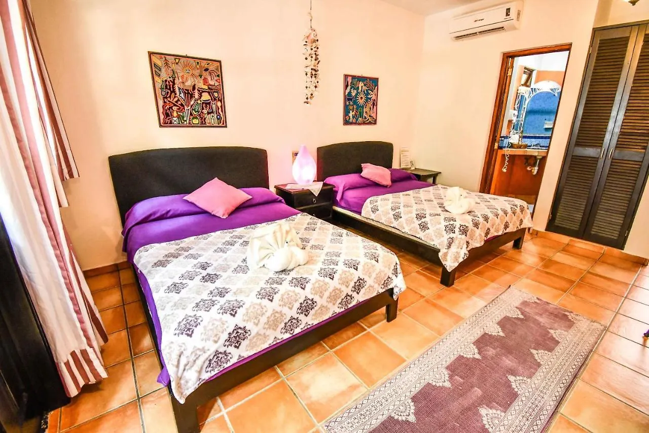 아파트호텔 신데 델 카르멘 Casa Freud 아파트 호텔 멕시코