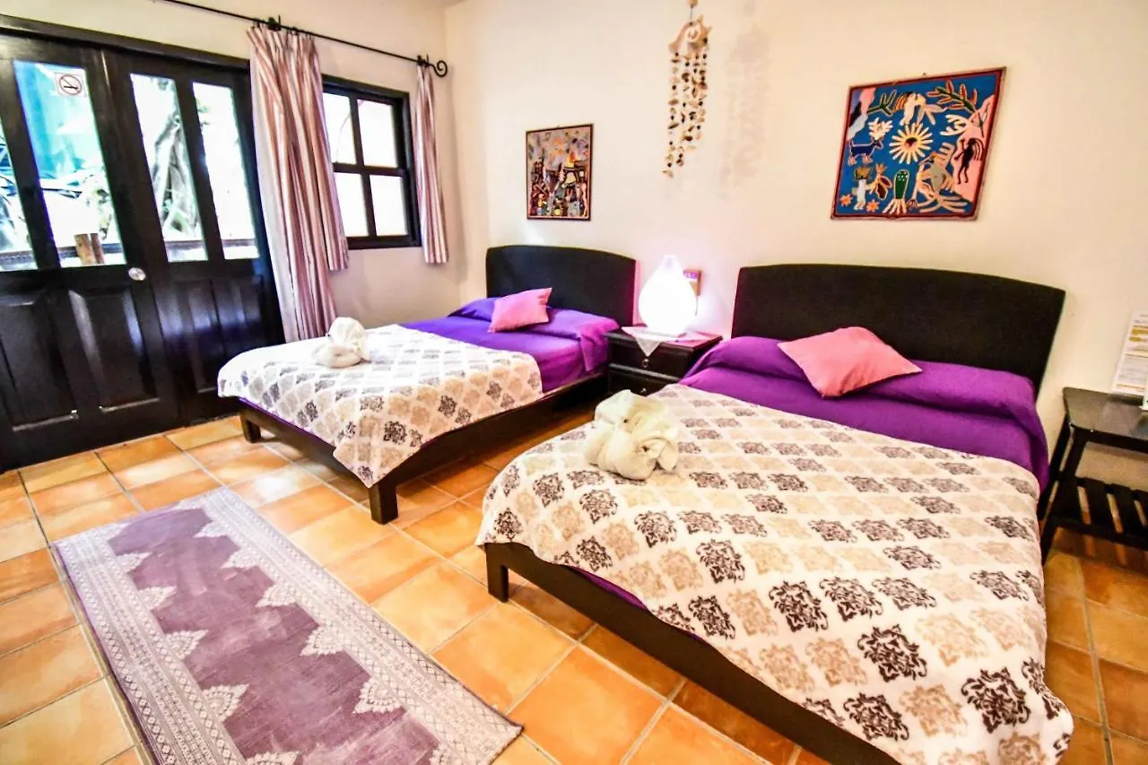 Casa Freud Aparthotel Πλάγια Ντελ Κάρμεν Μεξικό