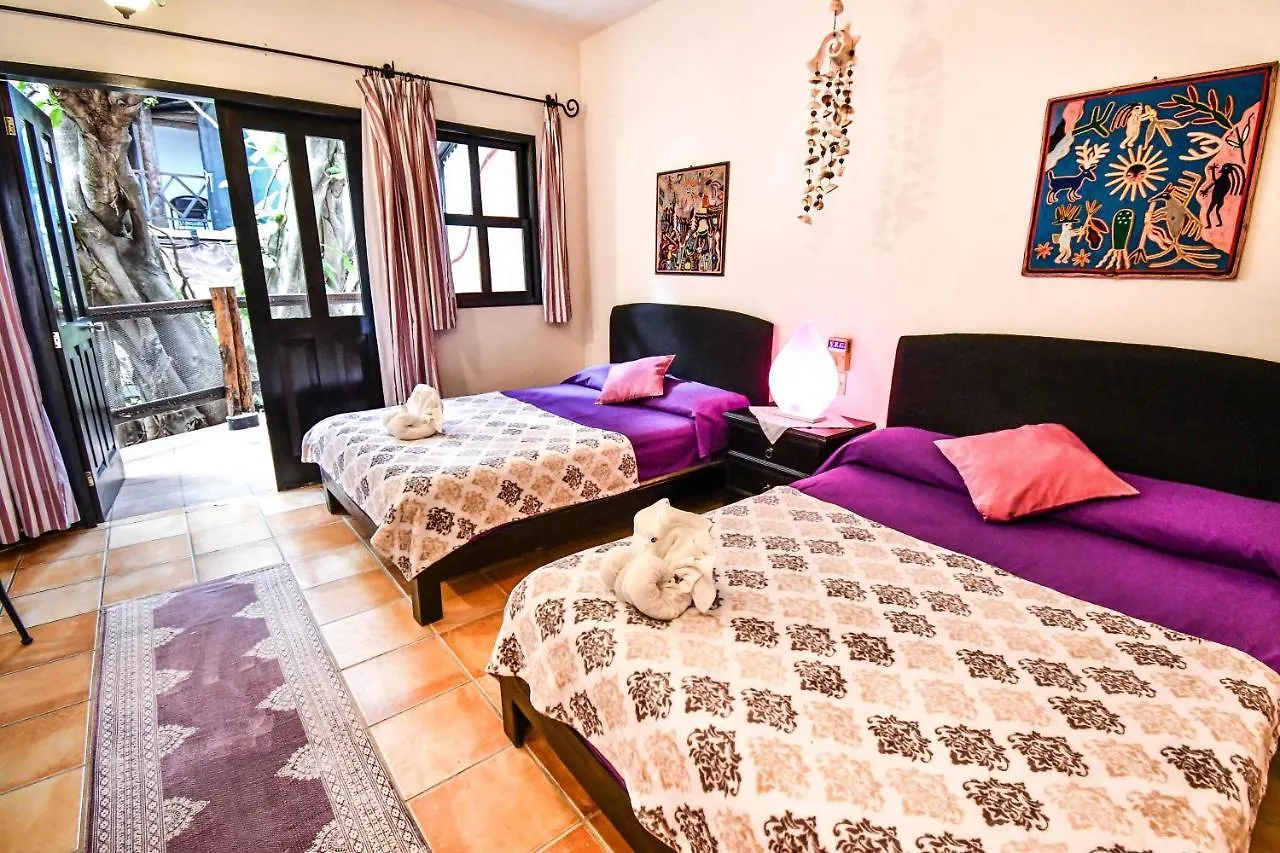 Casa Freud Aparthotel Πλάγια Ντελ Κάρμεν